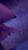 Video pregled