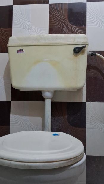 Toilettenmassage