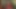 この中出しはケイから始まる
