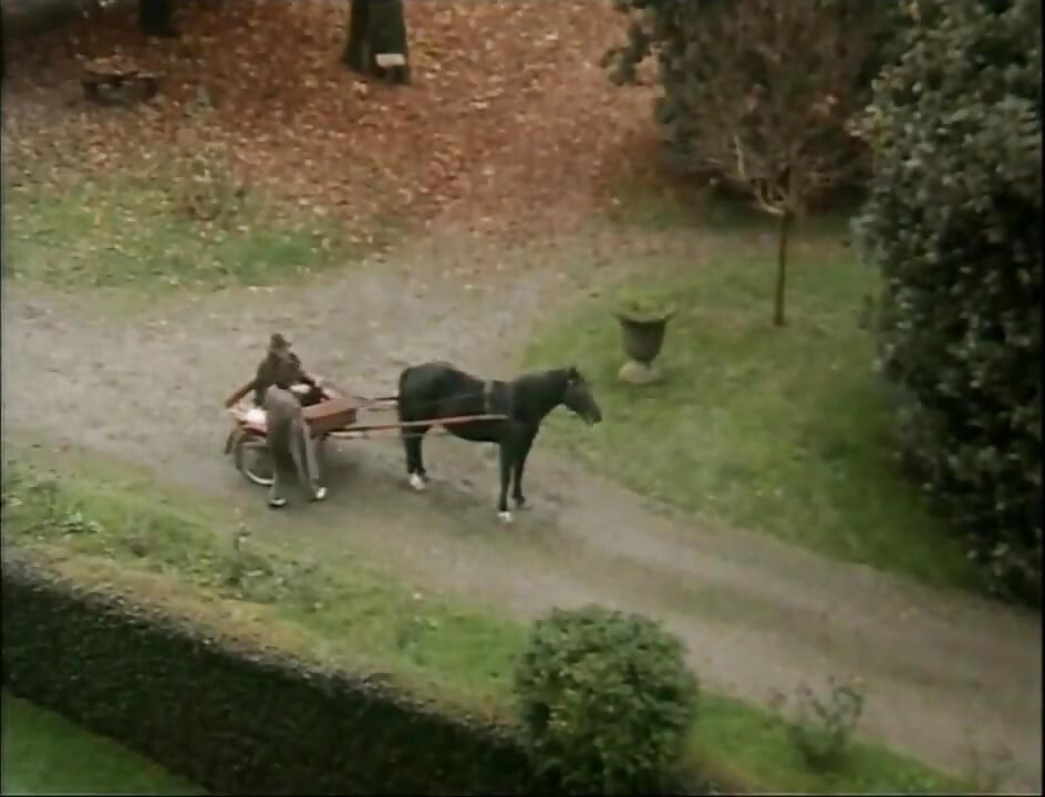 Lizanje pičke Jebanje guzice u dvorcu