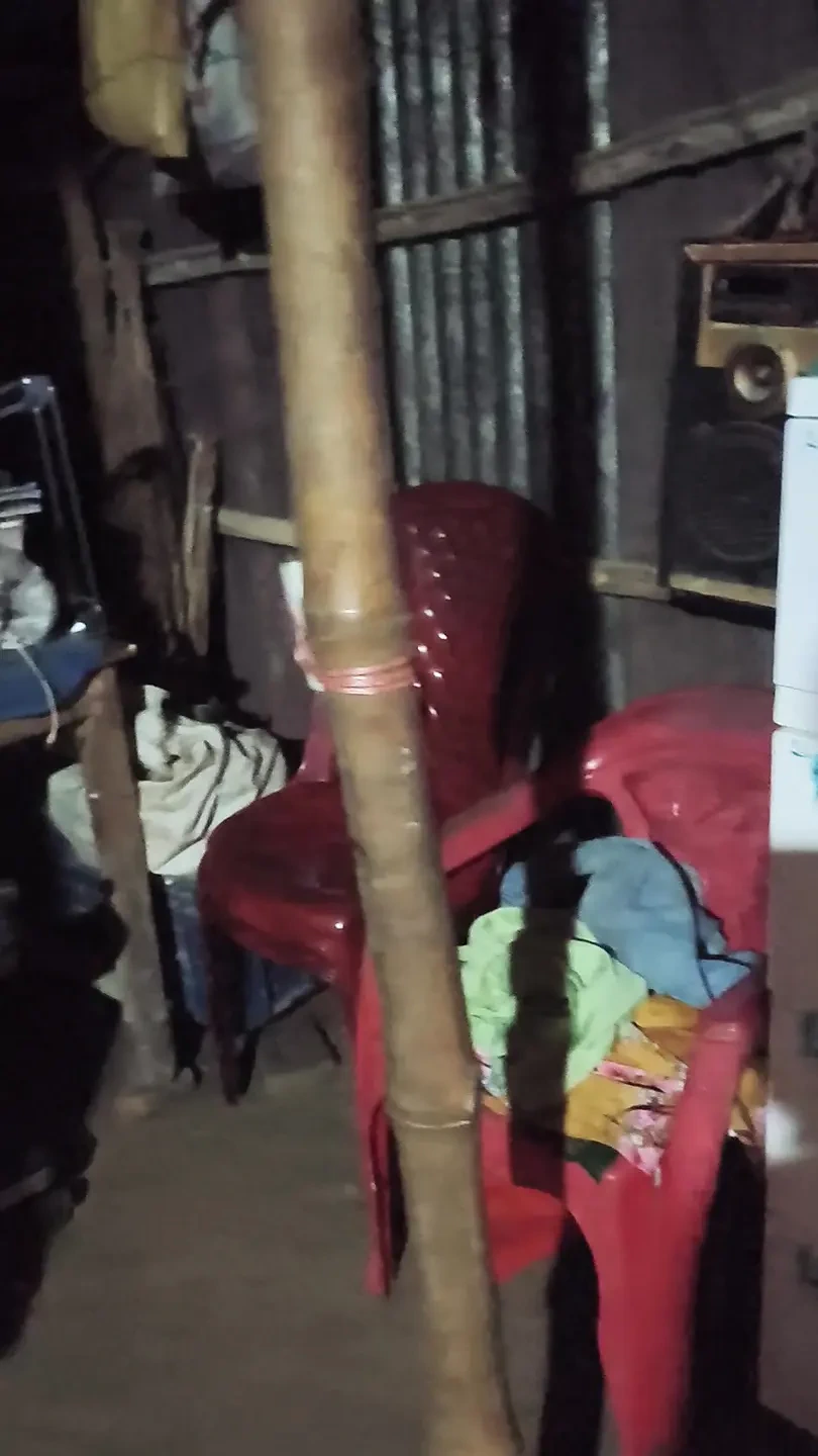 我家的简单生活