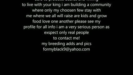 a kings commercial