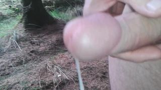 Masturbarse en el bosque 3