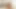 Caught Jerkin with Morgan Lee VR