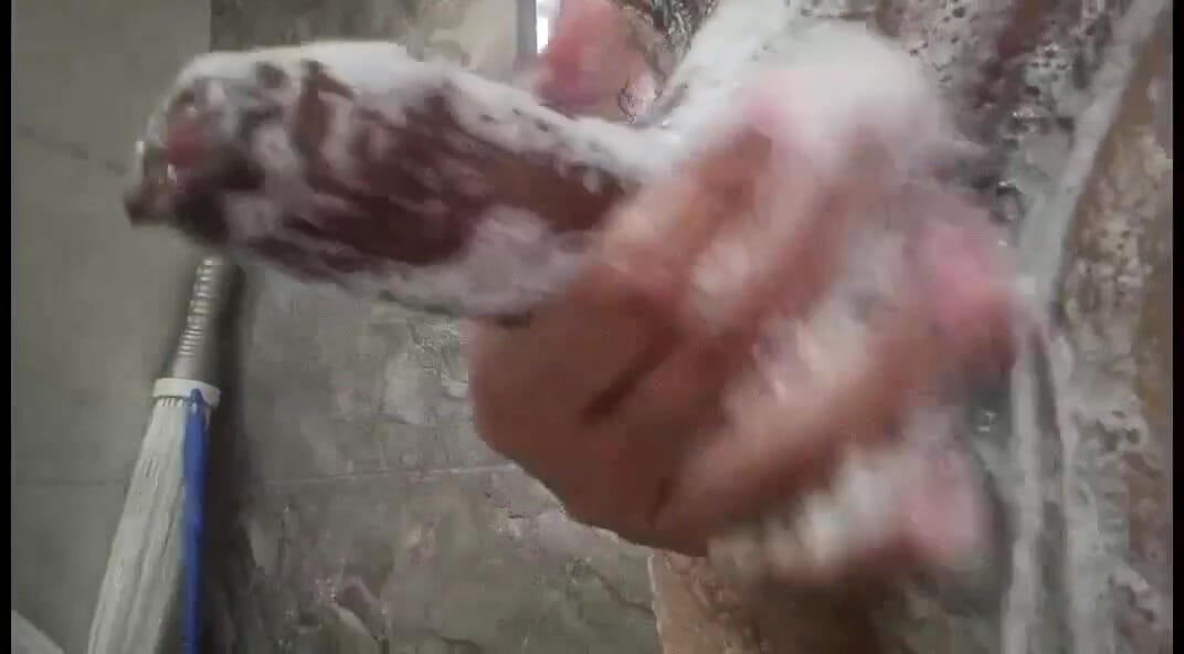 Lijepo čišćenje kurca