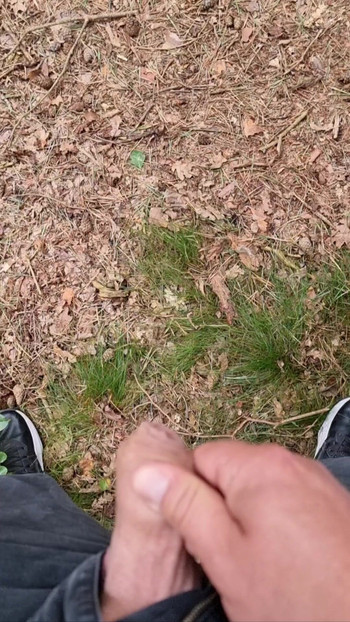Cumshot in the forest