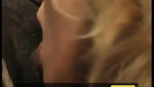 Interracial anal for amazing blonde wife