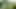 BRIDE4K. She ran away from her fiance to fuck a stranger shepherd outdoors