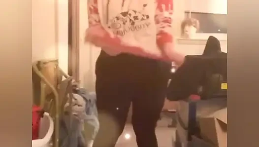 Adaçayı modellemesi