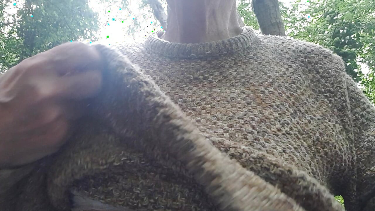 Tena morning outdoor