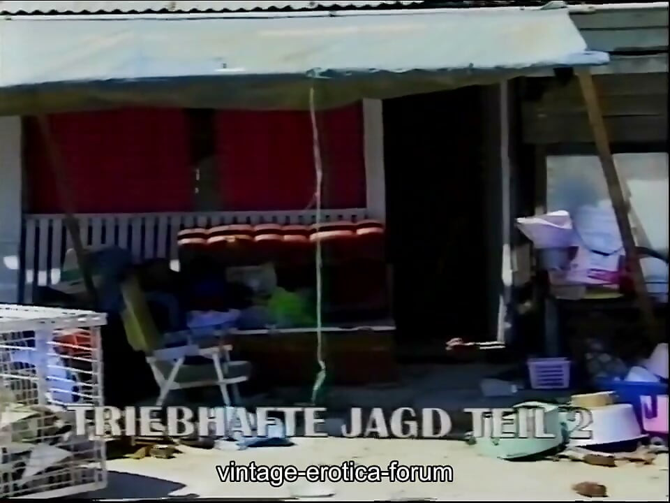 Triebhafte Jagd 2 (1990)