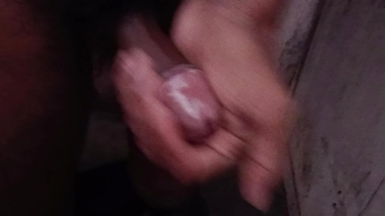 Fight Bara