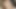 Seksi kız büyük ve kalın bir penis istedi, ama arabada sadece bir şişe buldu. Yoldan geçenler her şeyi gördü