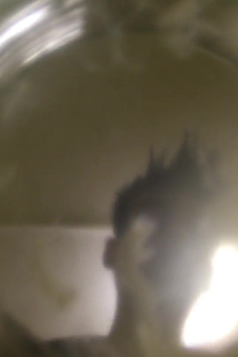Twink bir bardak suya boşalıyor (cam görünümün içinde) yüzen sperm