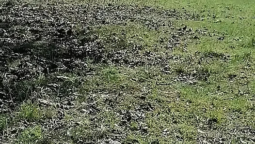 Hot wet games, German amateur milf, with piglets in nature