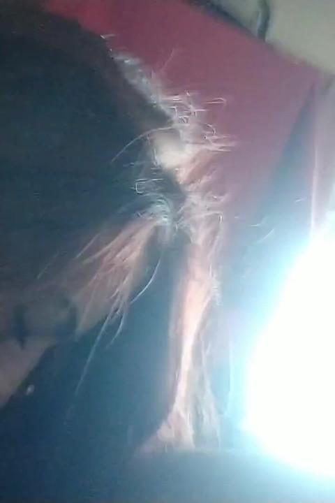 Blowjob