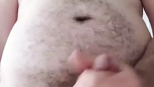 Büyük sakallı ayı boşalan