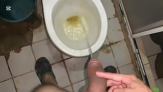 I go into the bathroom and start masturbating after urinating - Jovenpoder - Bathroom