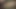 Big desi cock masturbation video Boy masturbating video Give your love to big cock guys