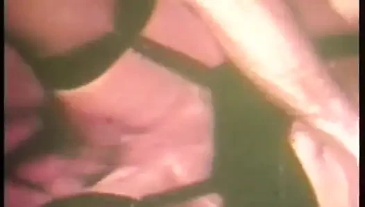 Retro, behaarte muschi fickt großen schwanz, lutscht dreier-party
