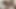 18歳 プロートのようにチンコをしゃぶる 私のスキルを1-10評価