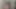 Teenfidelity - Gracie kapılarını sonuna kadar açıyor!