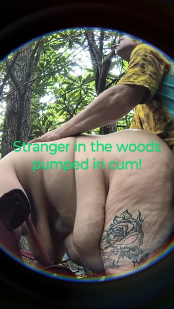 Bended This Stranger Over in the Woods Tree Covered