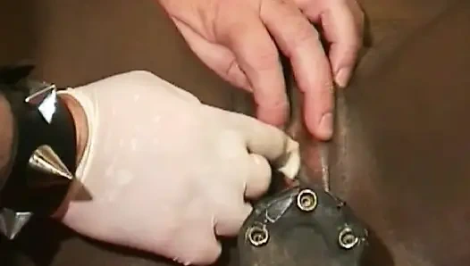 Tied up ebony French bitch enjoys BDSM action