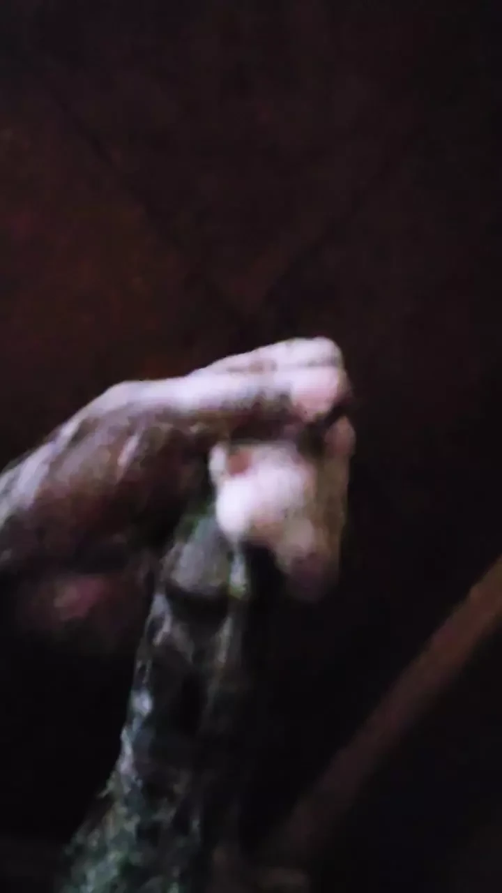 Soapy fun 😁