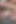 Lovenia lux ilk kez anal seksin tadını çıkarıyor