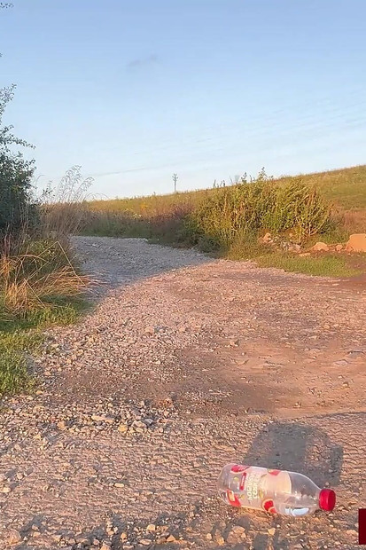 Ils continuent leur jeu de strip-tease, des rires et de l’excitation remplissent l’air