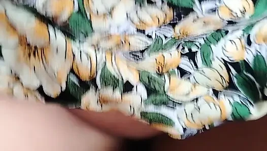 Келантан Вдова Догги (3)