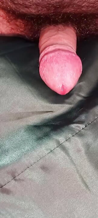 Ejaculating my sperma on the lining of a fake fur ladycoat