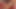 キャンディー夫人は新しいペニスが必要