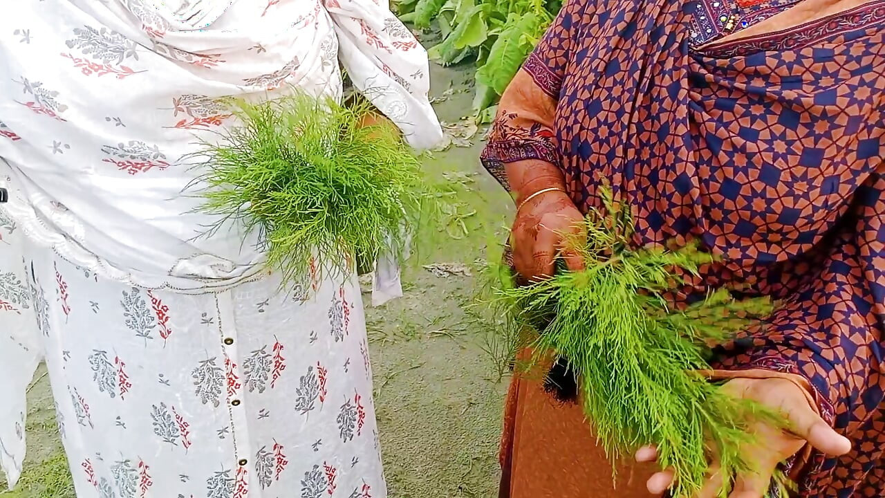 Rakib69 _ bangla desi outdoor village 3 some mms hot xxx video