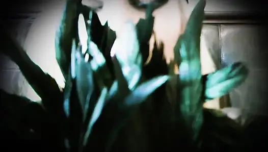 Brain Washed Under My Effects