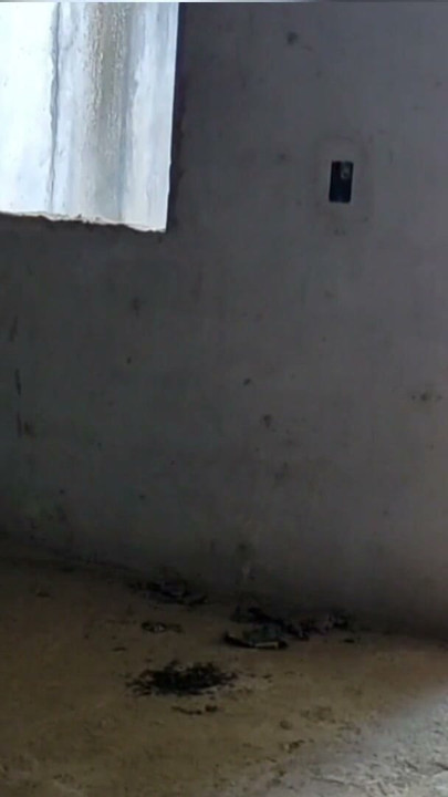 Girl Tight To Pee Enters Abandoned Building And Has Sex With Beggar With A Big Dick | Clip 1