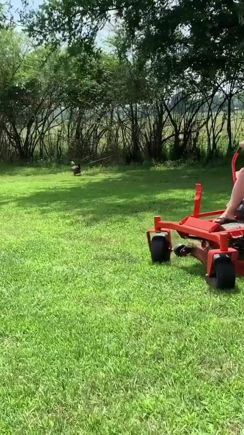Titties out Riding lawnmower outdoors | Clip 2
