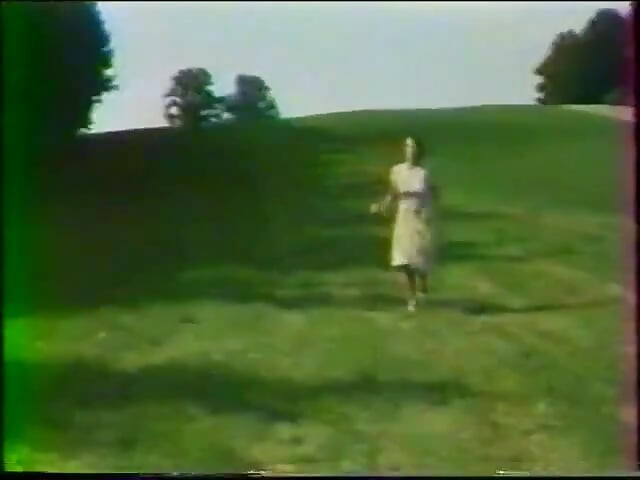바이스 조사 (1977)