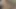 Bronzlaşmış hatun halıda ateşli seksin tadını çıkarıyor