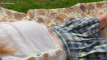 Pregled videozapisa