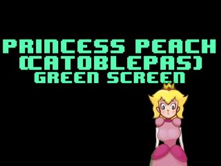 Prenses şeftali (catoblepas) yeşil ekran