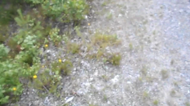 I flash my virgin 18teen dick at a road and starts pissing