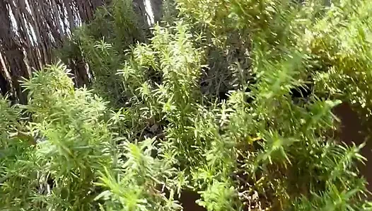 Dolgun Asyalı Eşim Terasta Beni Seviştirirken Komşu Izliyor- Yasmina Khan- Brady Bud