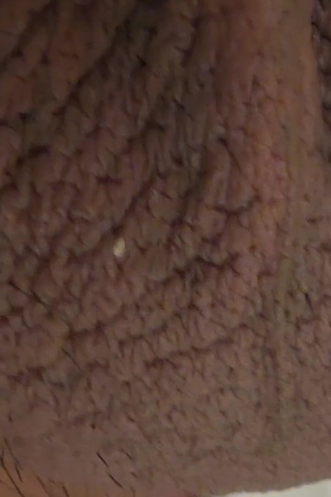 Closeup Desi Dick