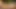 Petualangan hutan seks Aya nielsen