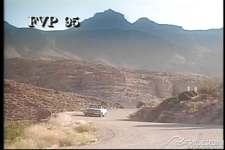 Absolute Arid