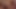 Amateur girlfriend shared and creampied