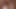 Hentai porn game in the wild with beautiful girls 18+