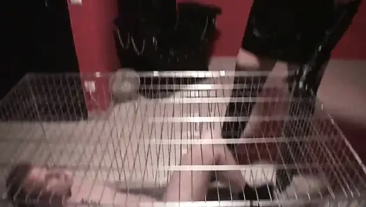 Spucken und demütigen, ulf im käfig